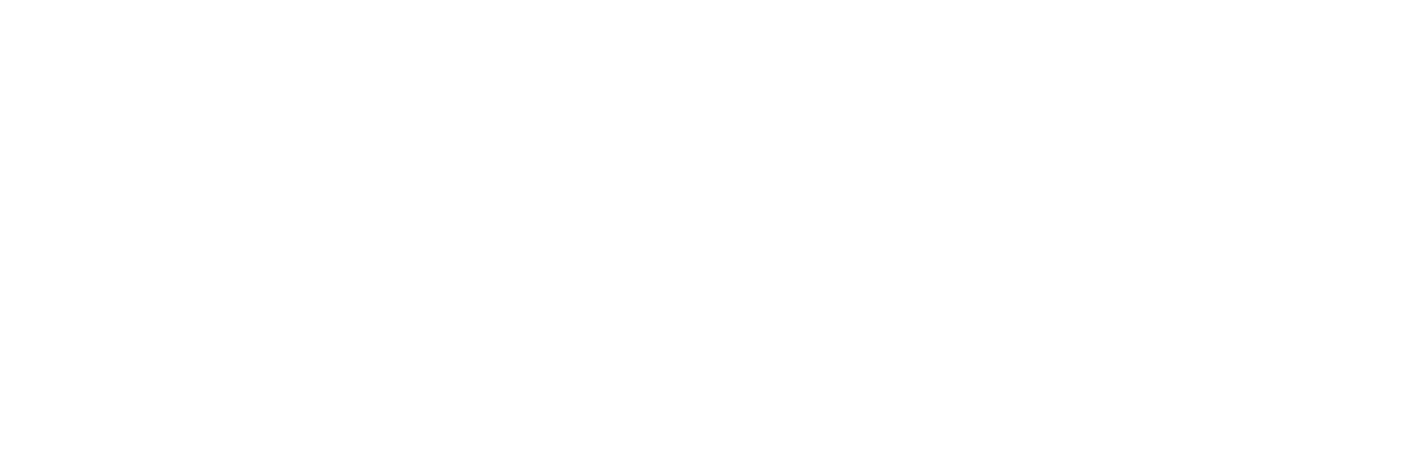 EWAVE Boat